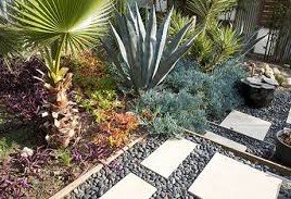 Xeriscaping