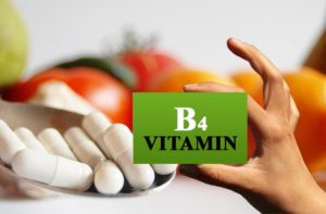 B4 vitamin