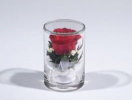 Örök rózsa üvegben