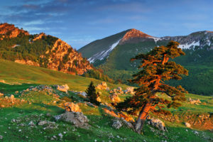 Pollino Nemzeti Park