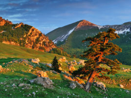 Pollino Nemzeti Park