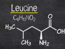 Leucin