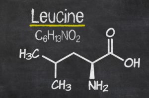 Leucin